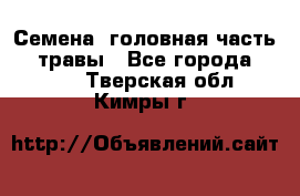 Семена (головная часть))) травы - Все города  »    . Тверская обл.,Кимры г.